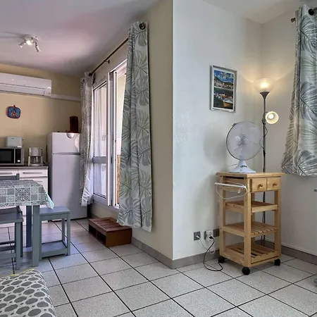 Climatise 2 Pieces, Piscine, Animaux Acceptes, Parking, Proche - Fr-1-225c-152 Cerbère