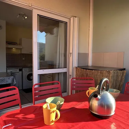 Apartment Climatise 2 Pieces, Piscine, Animaux Acceptes, Parking, Proche - Fr-1-225c-152